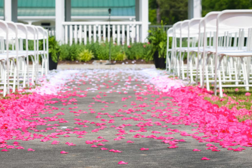 Rose petals