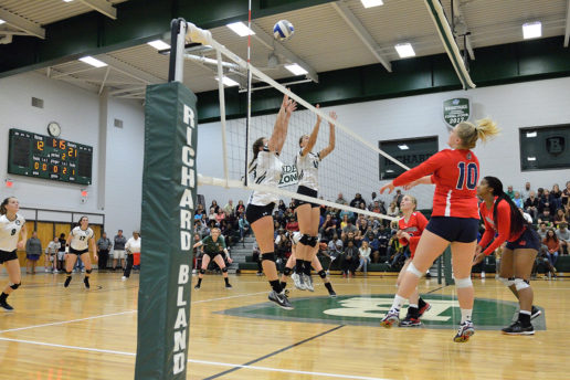 Volley ball game