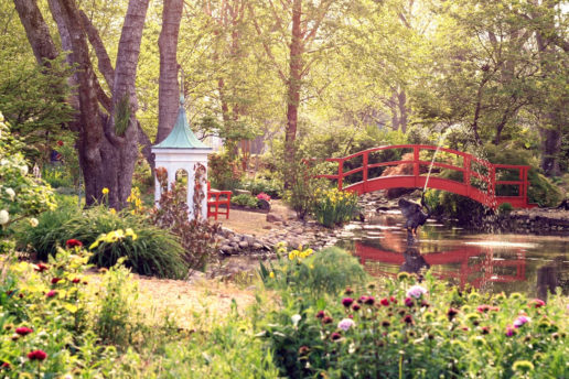 Water feature in garden