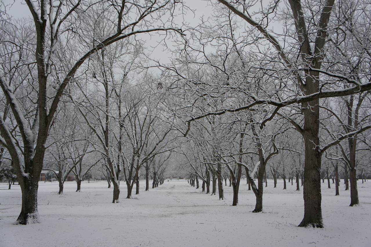 BORN THROUGH INNOVATION RBC Richard Bland College